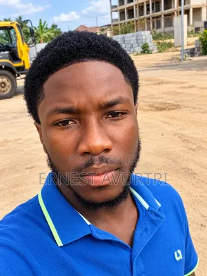 Driver CV - Ernest