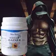 Wins Town Weight Gainer - High Protein Mass Supplement - 2