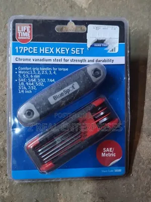 BlueSpot 17-Piece Folding Hex/Allen Key Set