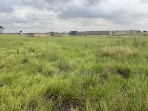 70/100 Plot of Land for Sale in Prampram