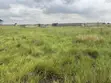 70/100 Plot of Land for Sale in Prampram - 1