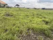 70/100 Plot of Land for Sale in Prampram - 3