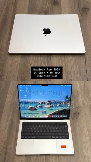 Apple MacBook Pro 2024 M4 Max 36GB RAM 1TB SSD