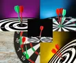 Extra Large 17" Double-Sided Adult Dartboard Game - 2