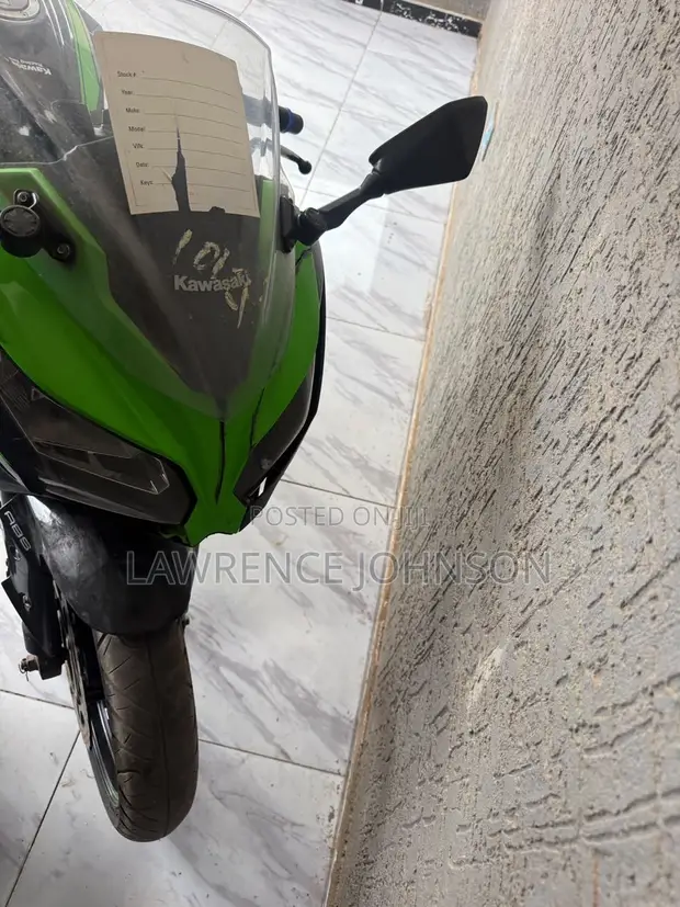 Kawasaki Ninja 300 2018 - 1
