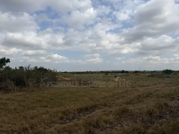 Afienya Exclusive Litigation-Free Lands - 1