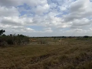 Afienya Exclusive Litigation-Free Lands