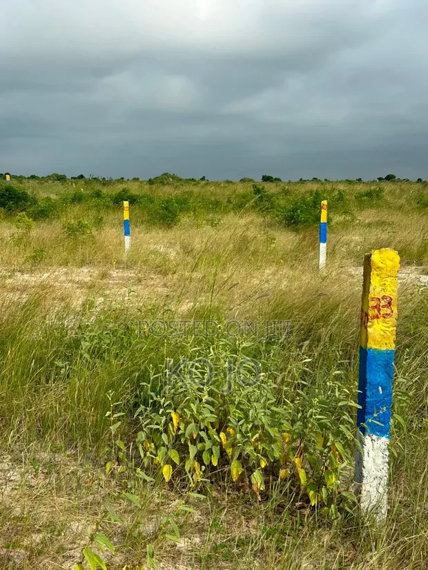 5 Acres Registered Land for Sale in New Ningo - 1