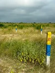 5 Acres Registered Land for Sale in New Ningo - 1