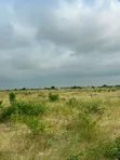 5 Acres Registered Land for Sale in New Ningo - 2