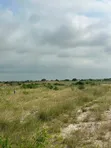 5 Acres Registered Land for Sale in New Ningo - 4