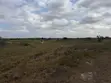 Afienya Lands Near Major Roads - 2