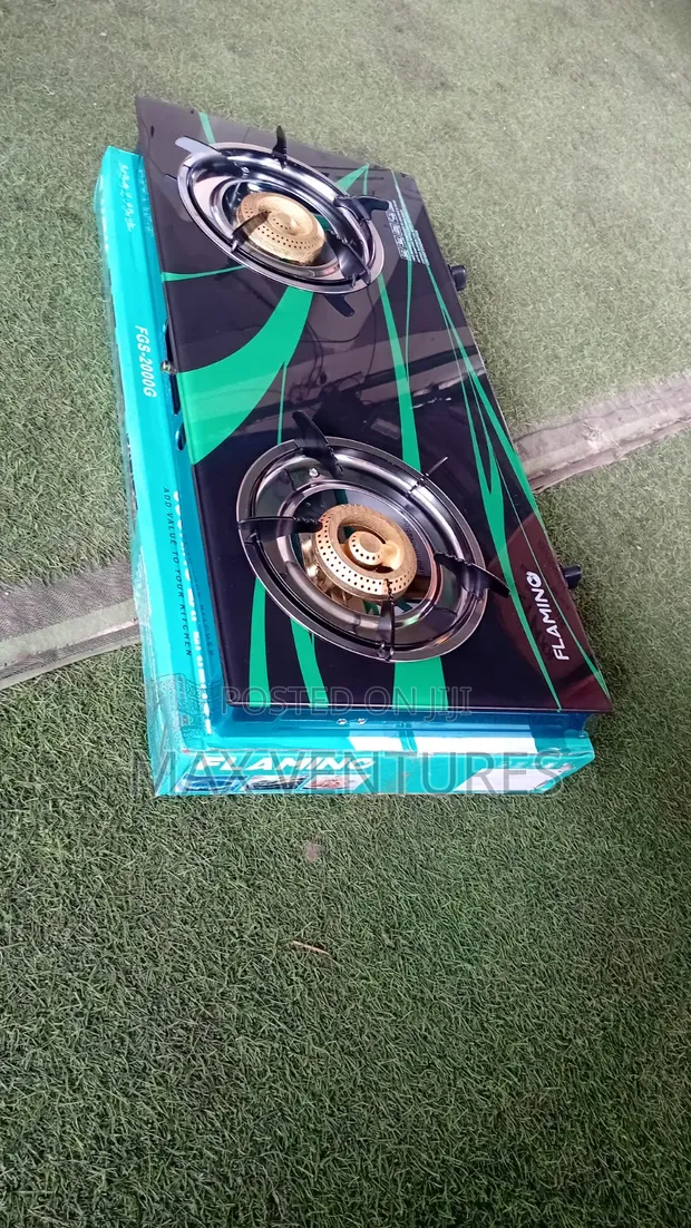 Flamino 2 Burner Gas Stove - 1