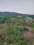 4 Plots of Registered Land for Sale at Oyarifa - 1