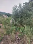 4 Plots of Registered Land for Sale at Oyarifa - 2