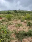 4 Plots of Registered Land for Sale at Oyarifa - 5