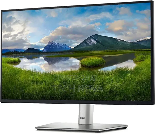 Dell 24 Monitor - P2422H - Full HD IPS - 1