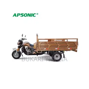 New Apsonic AP200ZH-A 2026 Brown Three-Wheeler