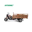 New Apsonic AP200ZH-A 2026 Brown Three-Wheeler - 1