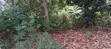 Building Plot for Sale in Techiman - 2