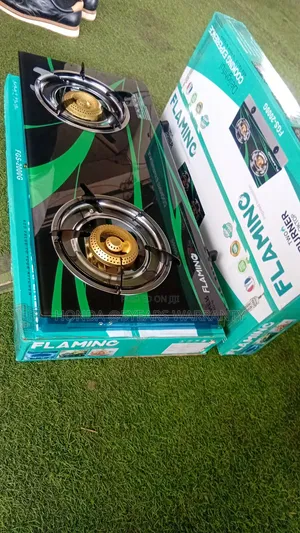 Modern FLAMINO Cooker - 2 Burners