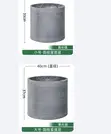 Rainbow Taro Artificial Plant with Concrete Pot - 2