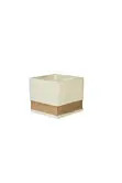 Rainbow Taro Artificial Plant with Concrete Pot - 4