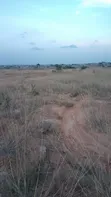 20 Plots of Registered Land in Katamanso - 1