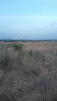 20 Plots of Registered Land in Katamanso - 2
