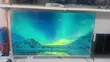 Green 75-Inch Smart TV - 4K UHD - 1