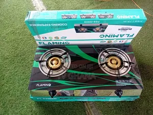 FLAMINO FGS_2000 2-Burner Gas Stove