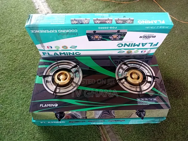 FLAMINO Two Burner Gas Stove FGS_2000 - 1