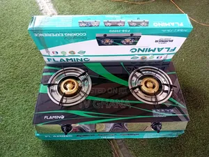 FLAMINO Two Burner Gas Stove FGS_2000