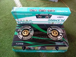 Flamino FGS_2000 2 Burner Gas Stove