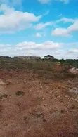 25 Acres Registered Land at Appolonia - 2