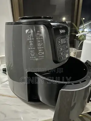 Ninja 4-in-1 Air Fryer - US 110V, Used