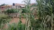Hostel Land for Sale Near UENR, Sunyani - 2