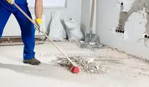 A & P Properties Consult: Cleaning Services
