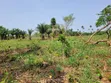 10 Acres Farmland for Sale in Offinso North - 1