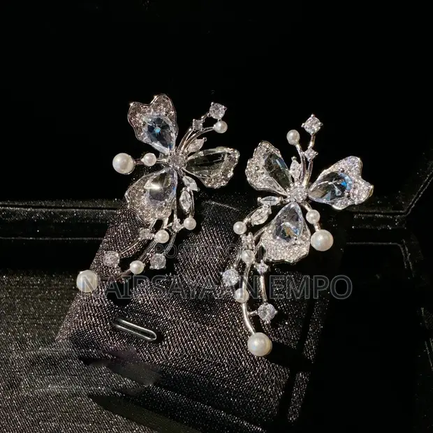 Zirconia Classic Designs Earrings - 1