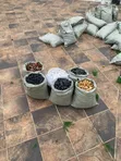 Pebble Stones for Landscaping - 2