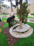 Pebble Stones for Landscaping - 3