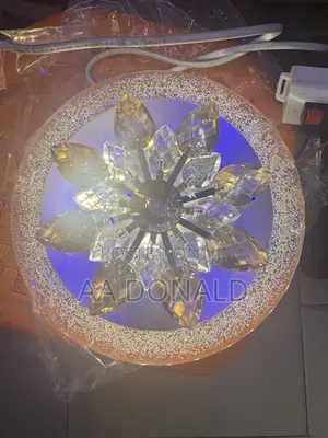 Brand New Rotating Ceiling Light with Remote