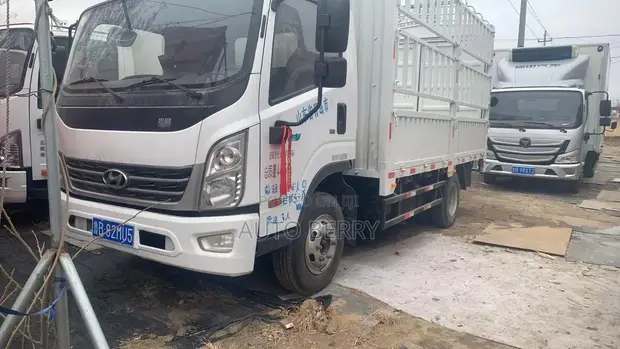 2020 Hyundai Hongtu 500 Commercial Truck - 1