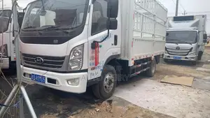 2020 Hyundai Hongtu 500 Commercial Truck