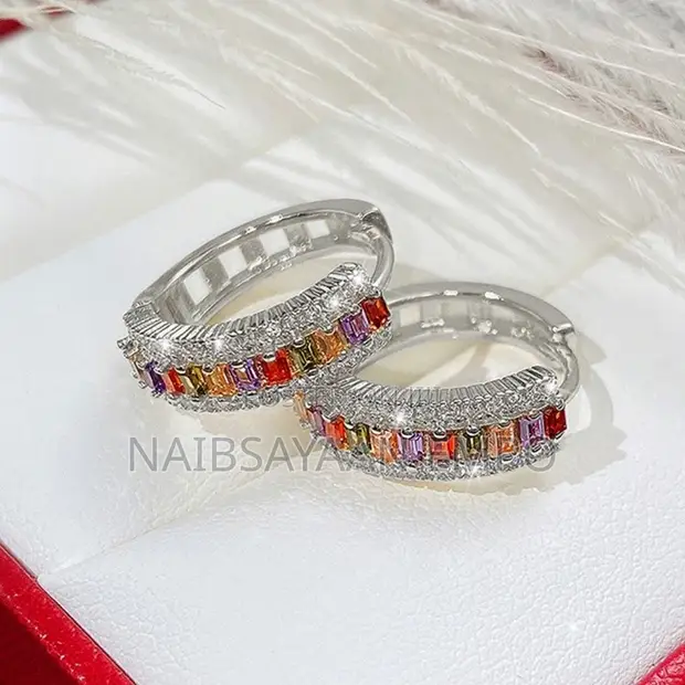 Cubic Inlaid Rainbow Hoop Earrings - 1