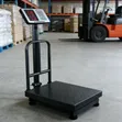 700kg Industrial Platform Scale - 2