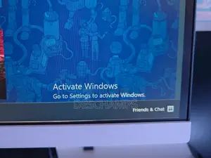 Windows 10/11 Activation Software