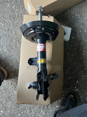 Lexus RX 350 F Sport Shock Absorber (2023-2025)