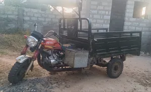 Apsonic AP150ZH-Q7 Cargo Tricycle 2023 - Green